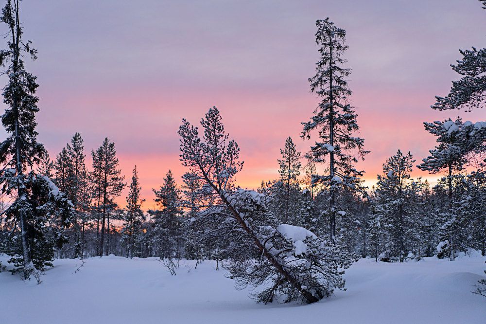 Photograph by Ирина Баландина