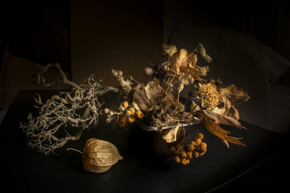 Фотография автора Milena Ivanova