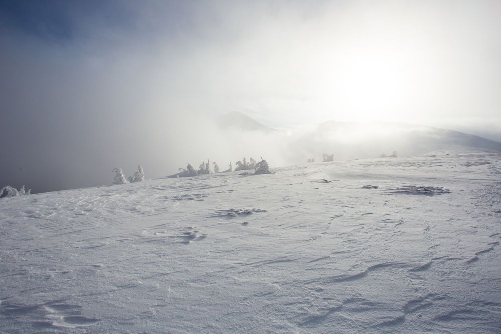 Фотография автора Дмитрий Дашкевич