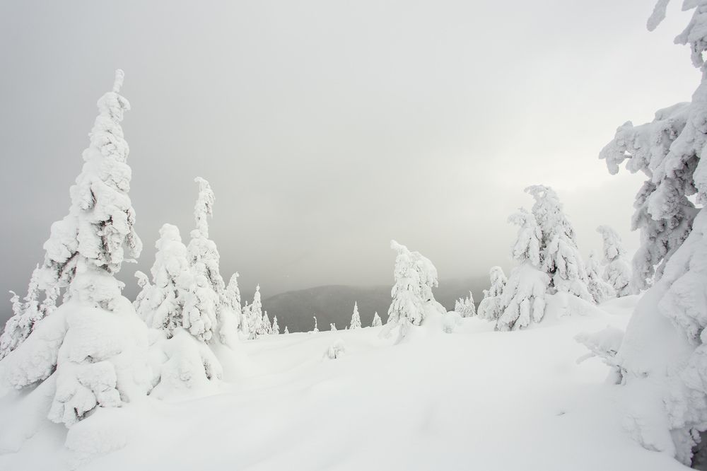 Фотография автора Дмитрий Дашкевич