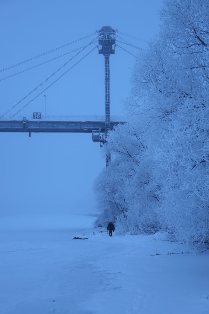 Фотография автора Елена Колосова