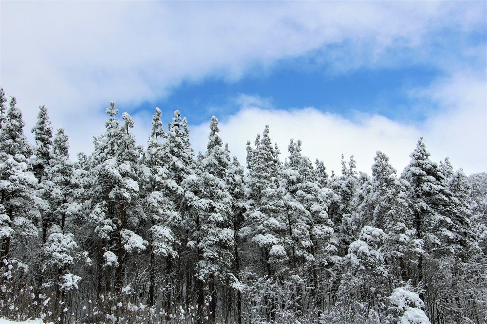 Photograph by Юлия Гудевич