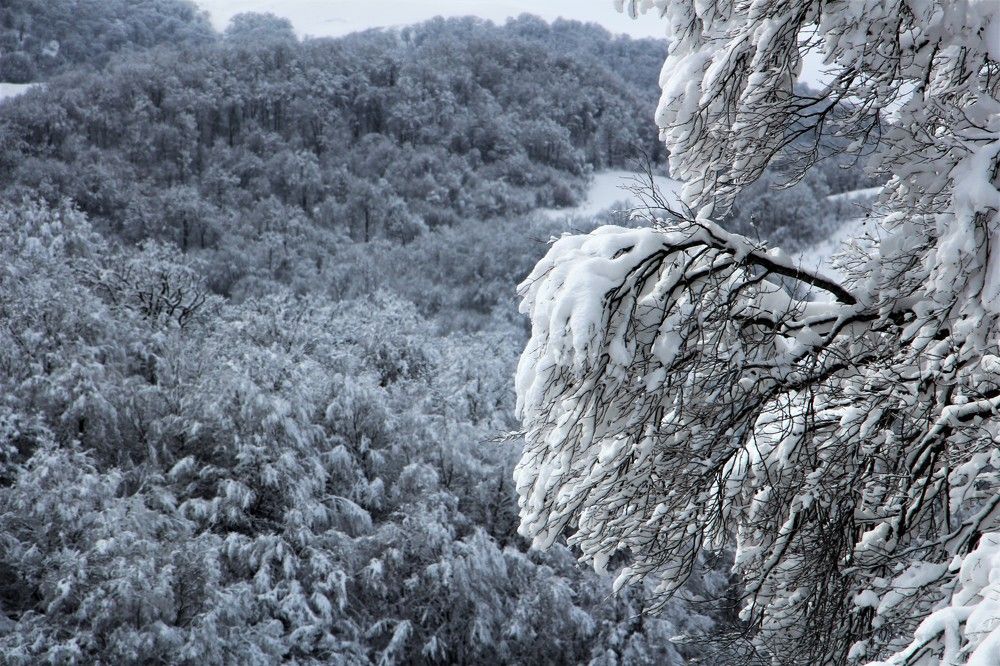 Photograph by Юлия Гудевич