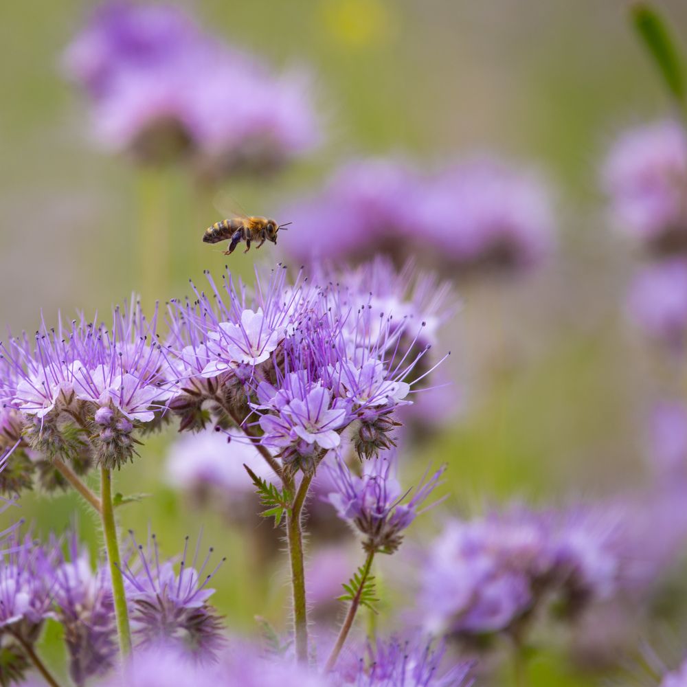 Фотография автора Дмитрий Дашкевич
