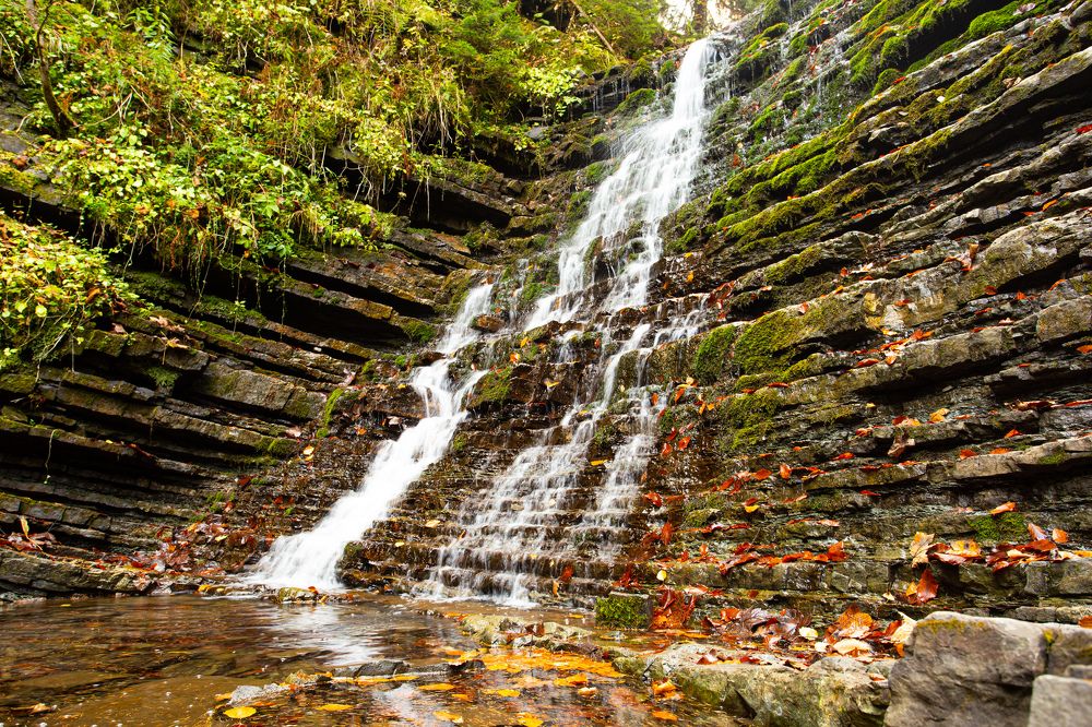 Фотография автора Дмитрий Дашкевич