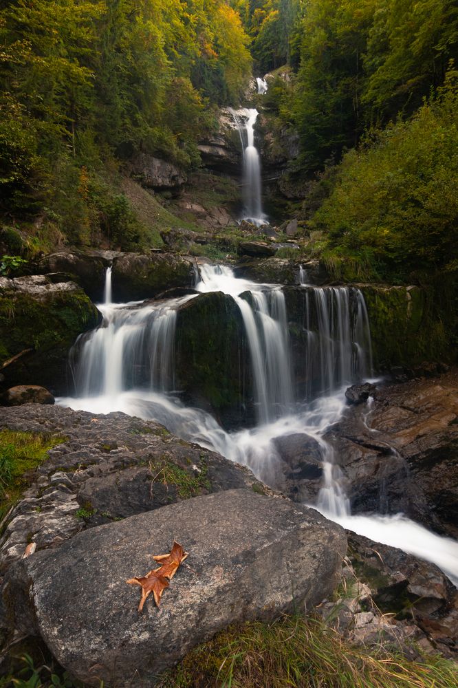 Фотография автора Laura Baratas