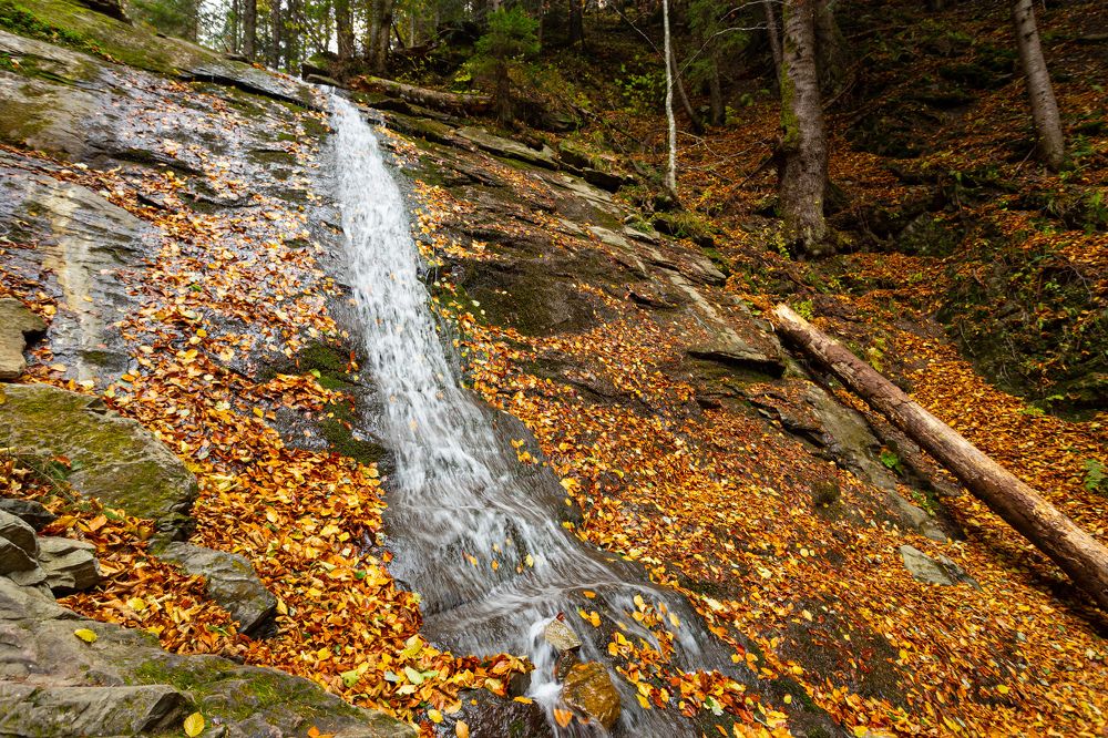 Фотография автора Дмитрий Дашкевич