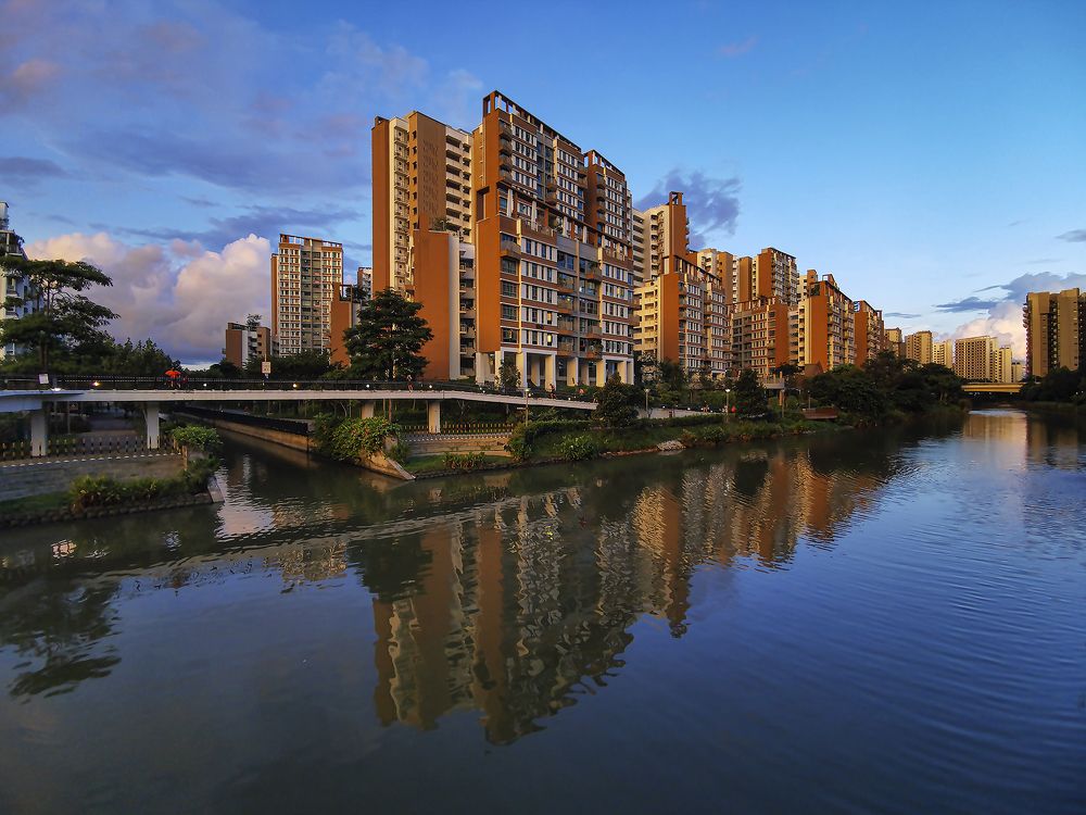 Photograph by PARTHA ROY