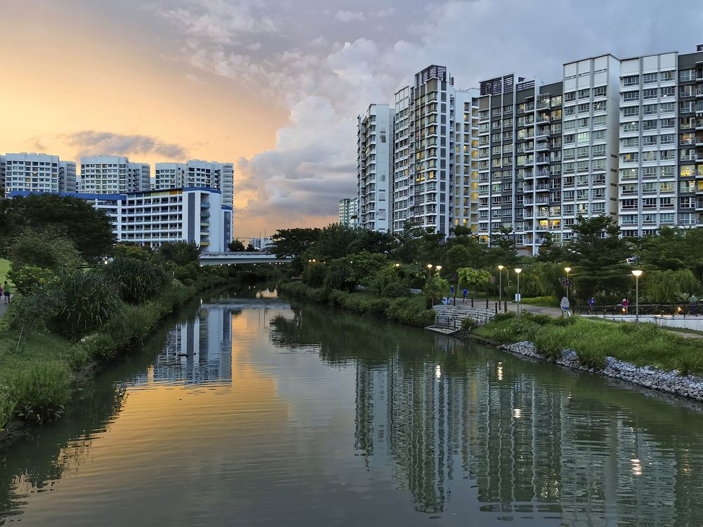 Photograph by PARTHA ROY