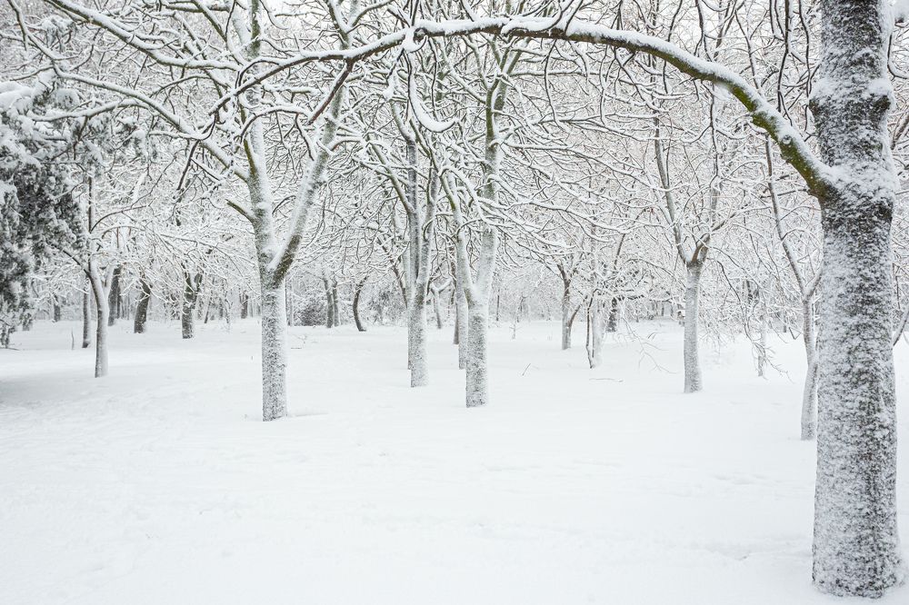 Фотография автора Дмитрий Дашкевич