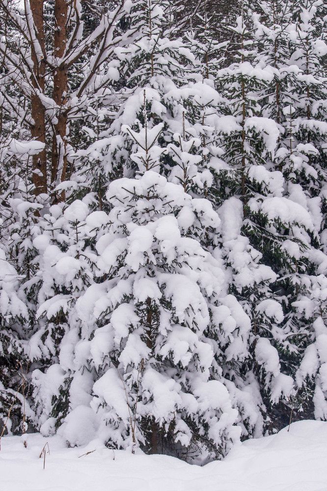 Photograph by Ирина