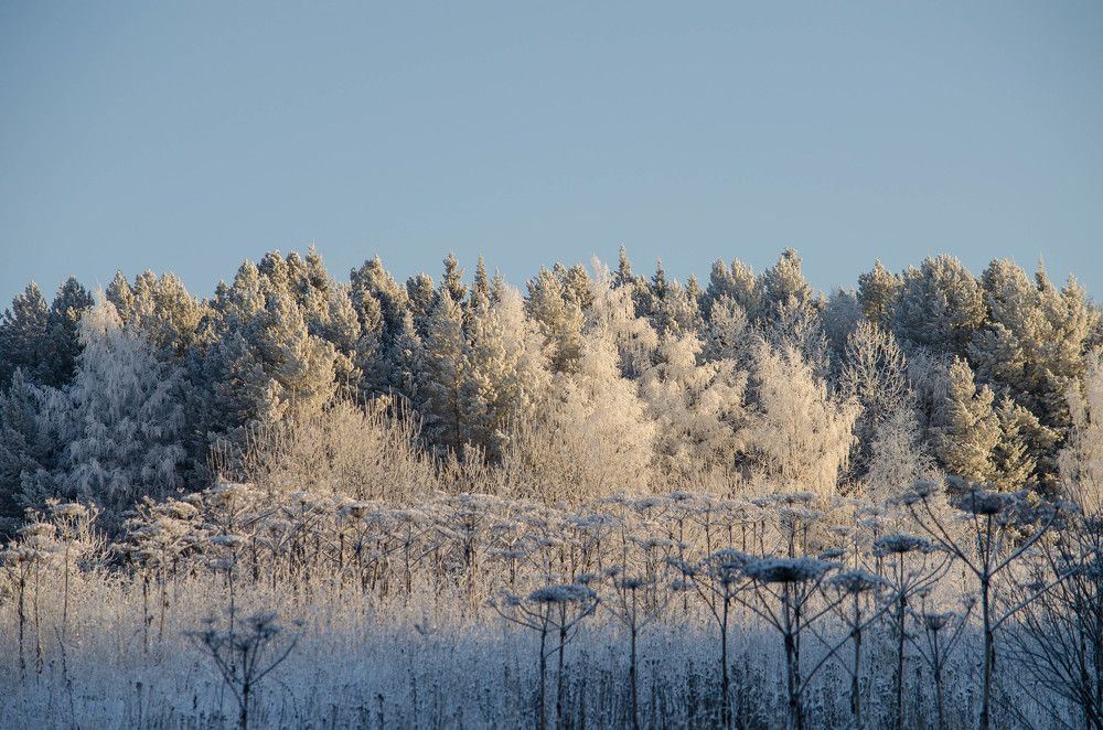 Photograph by Ирина