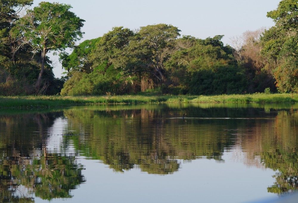 Фотография автора Cláudia Maria Fialho Garcia