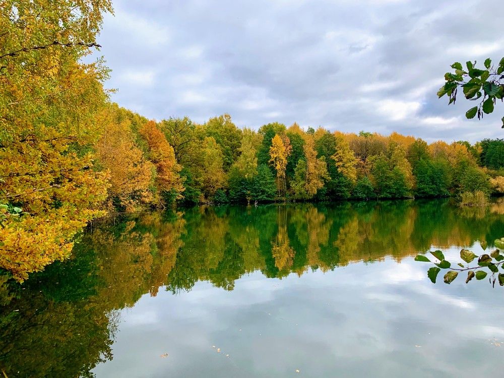 Photograph by Elena Lukashina
