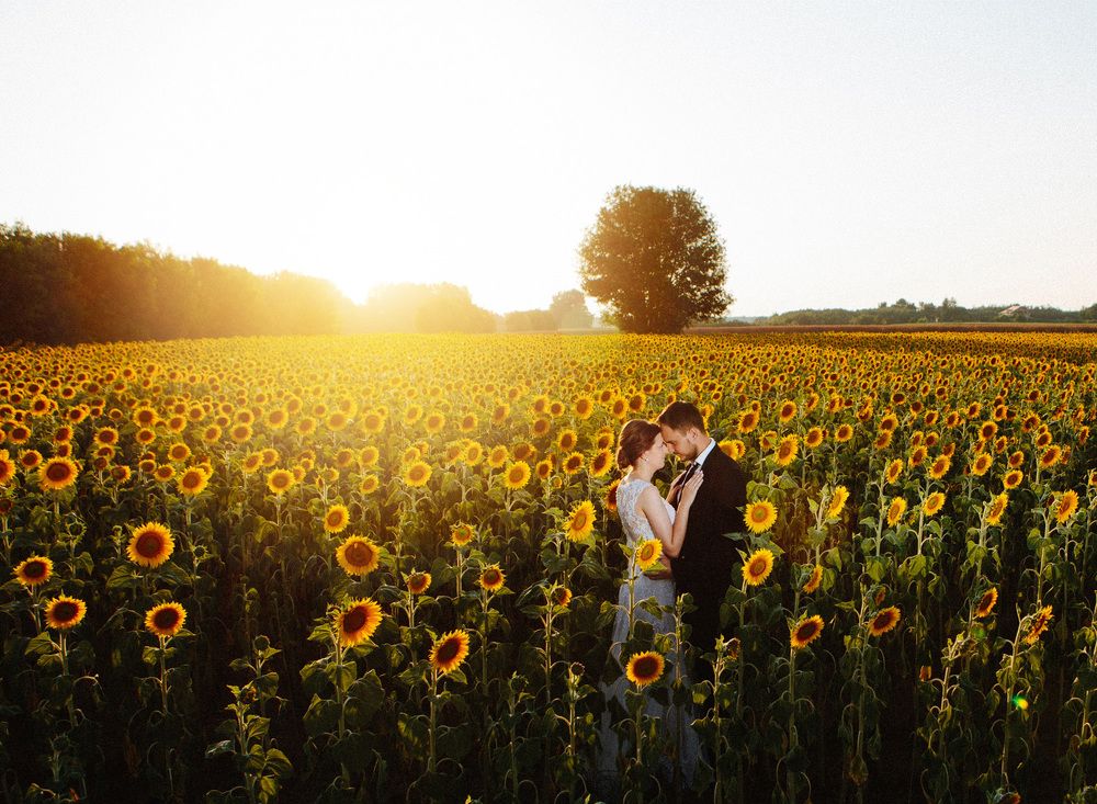 Photograph by Kresimir Sarcevic