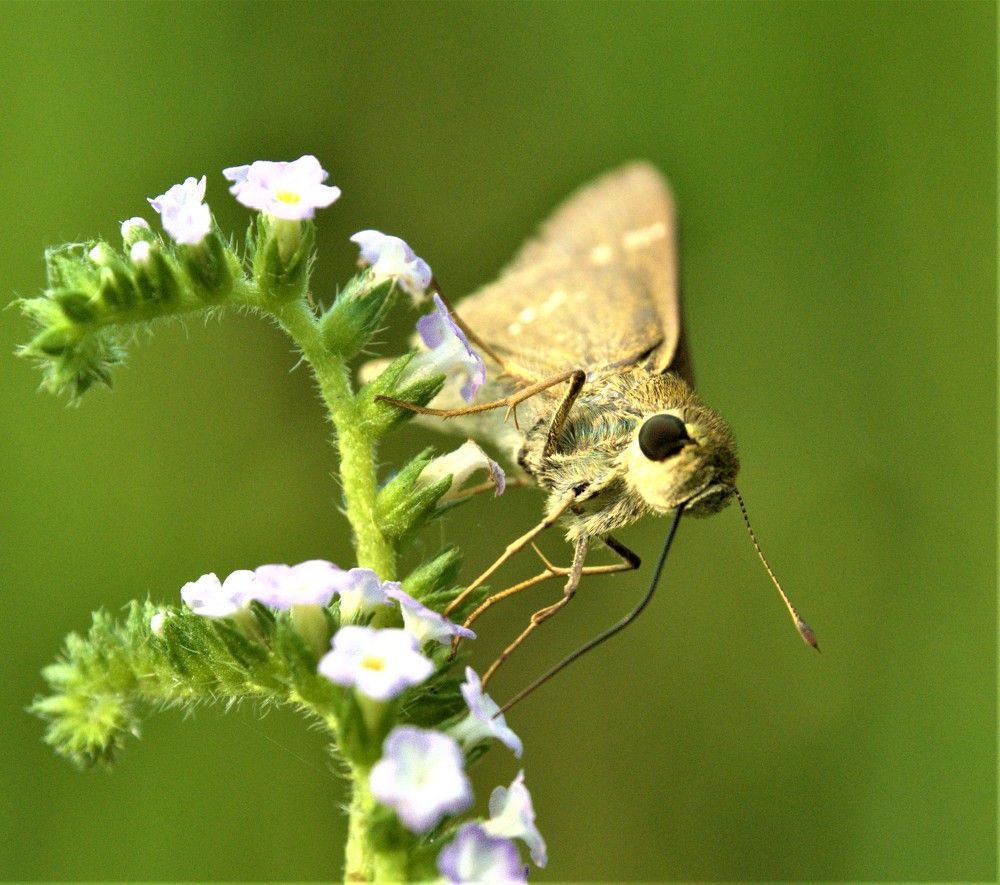 Photograph by Kushal Sharma