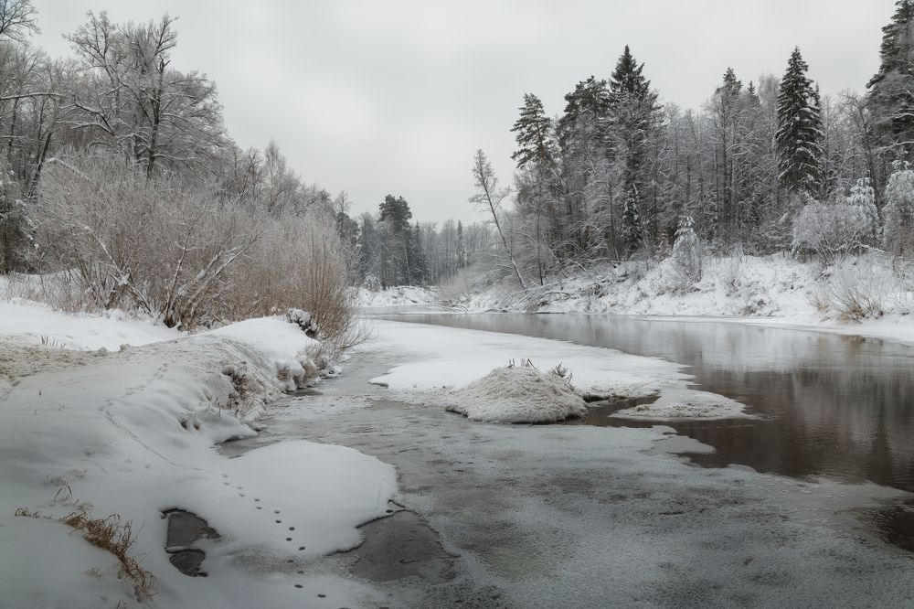 Photograph by Илья Мефодьев