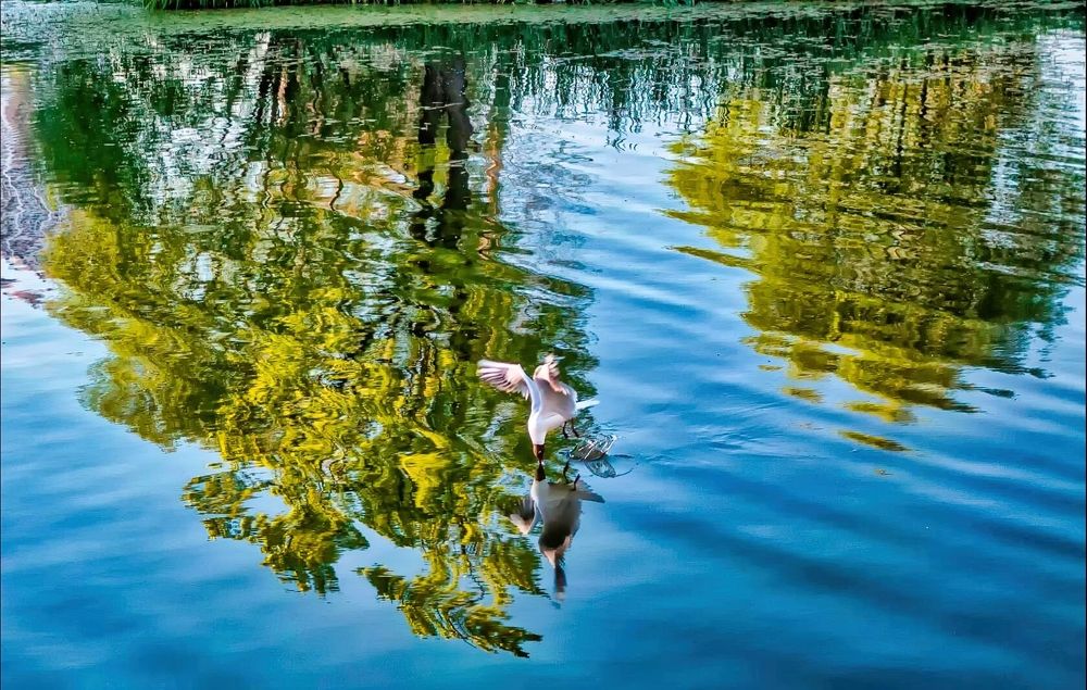 Photograph by Андрей Ныриков