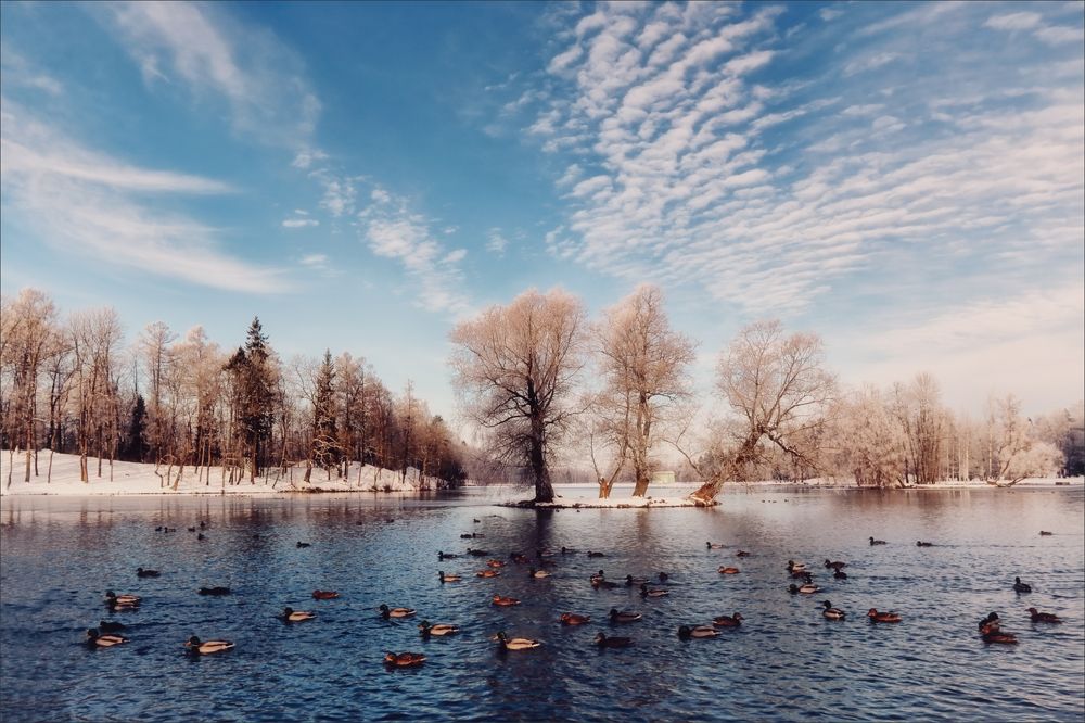 Photograph by Игорь Майоров