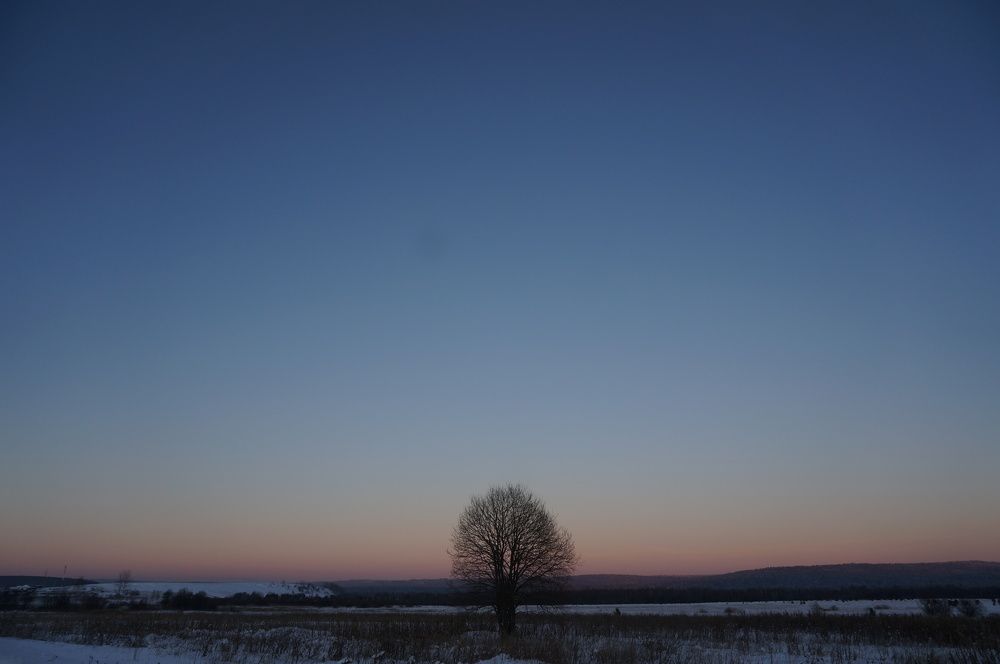 Photograph by Александр Райсон