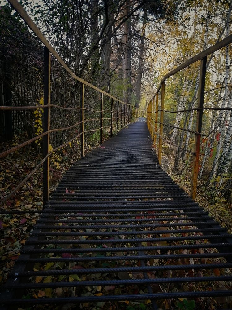 Фотография автора Евгения Снигирева