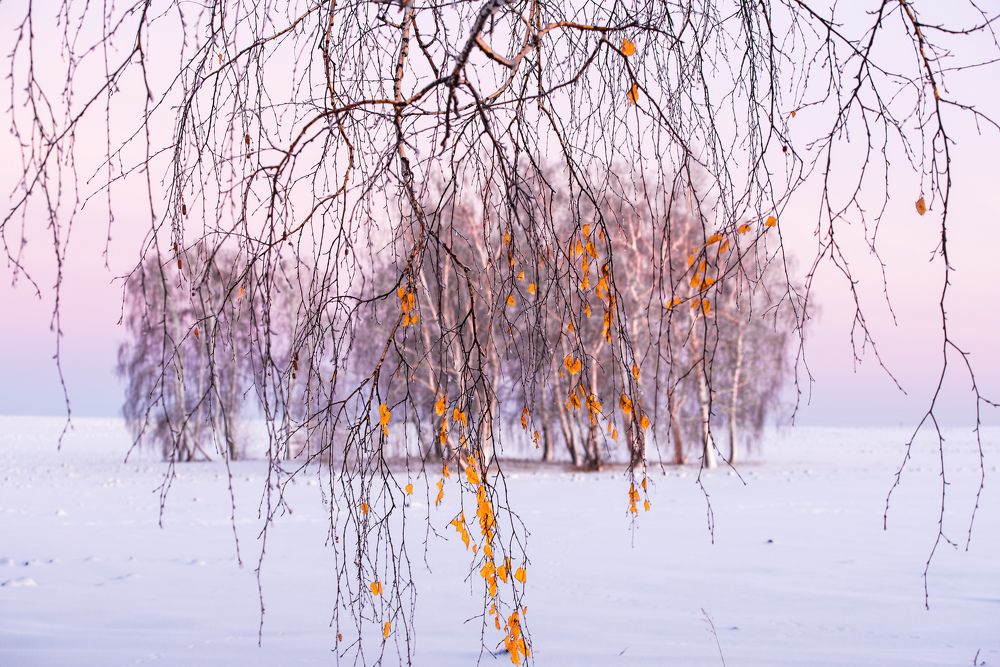 Фотография автора Павел Ступак