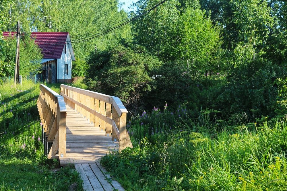 Фотография автора Евгения Снигирева