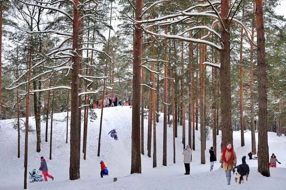 Пик Тяпкина