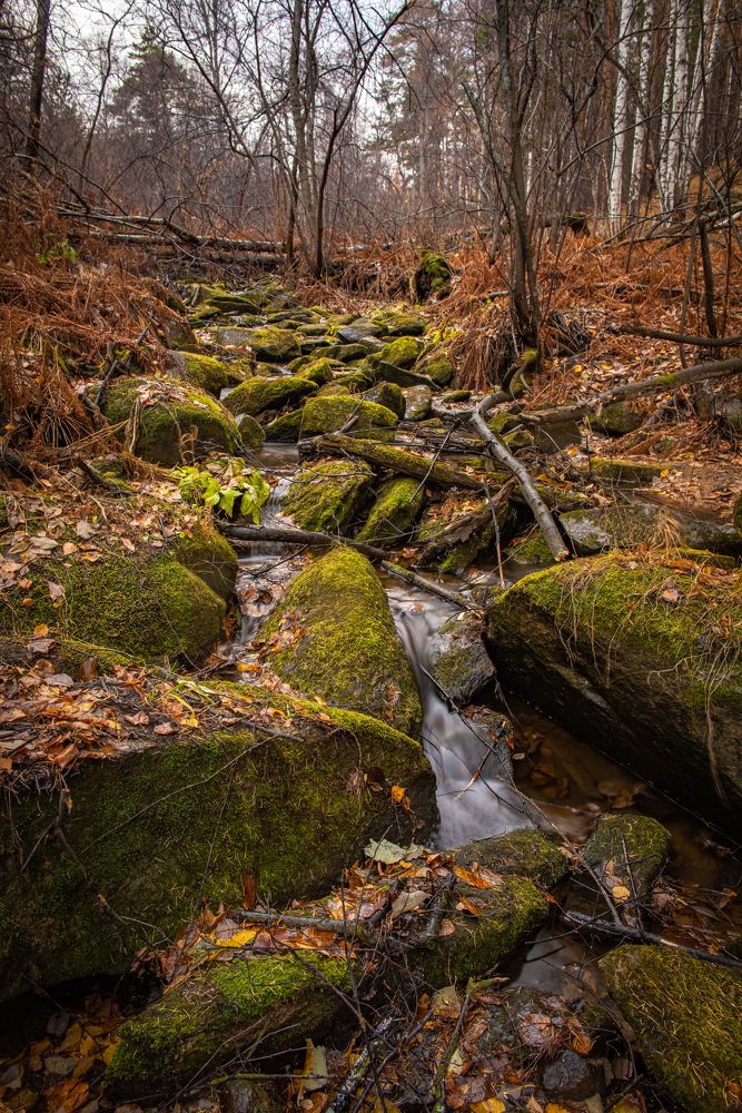 Photograph by Иван Зиновьев