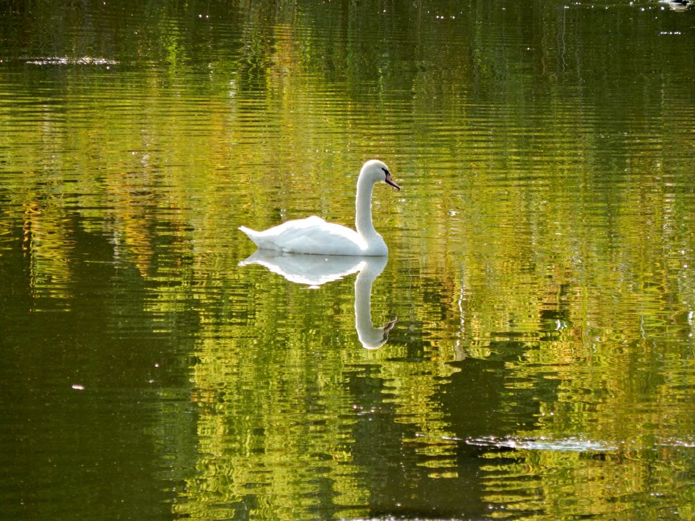 Photograph by Андрей Соколов