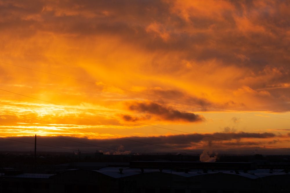 Photograph by Юлия Боровкова