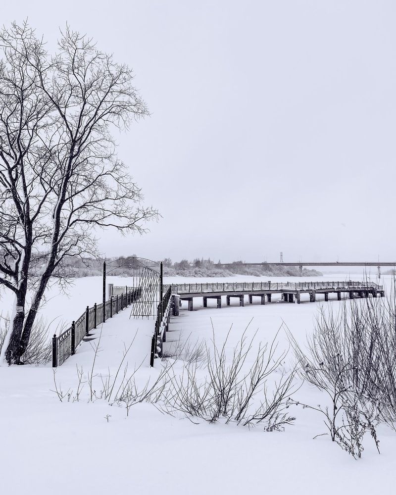 Photograph by Маргарита