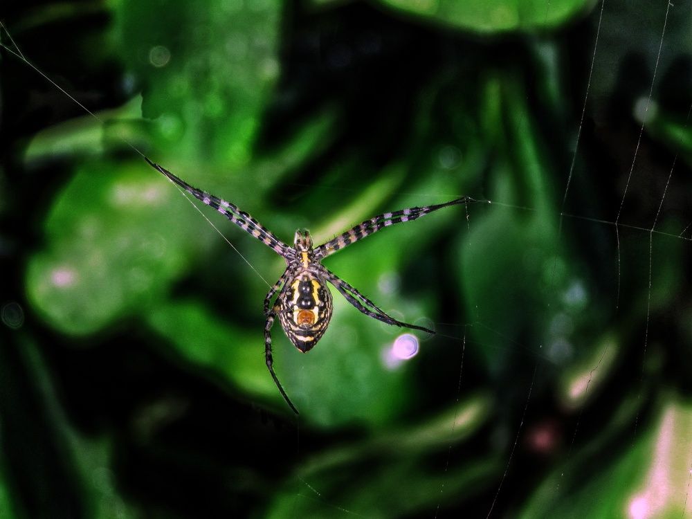 Фотография автора Adel elqamhawi Mohamed