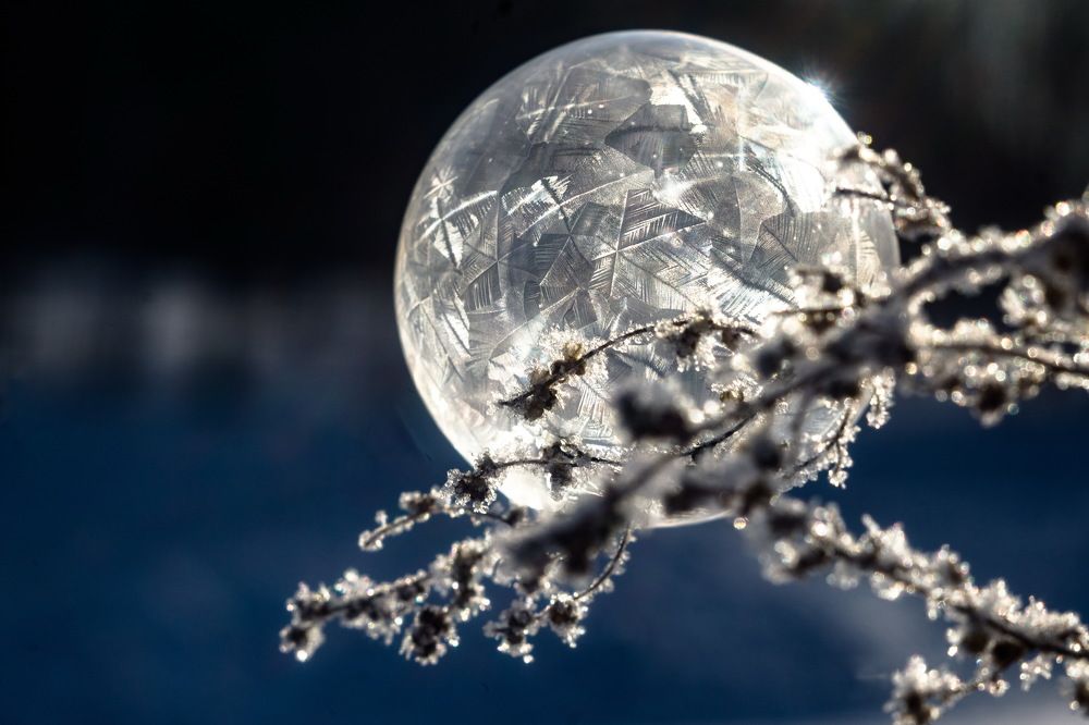 Photograph by Михаил Колосов