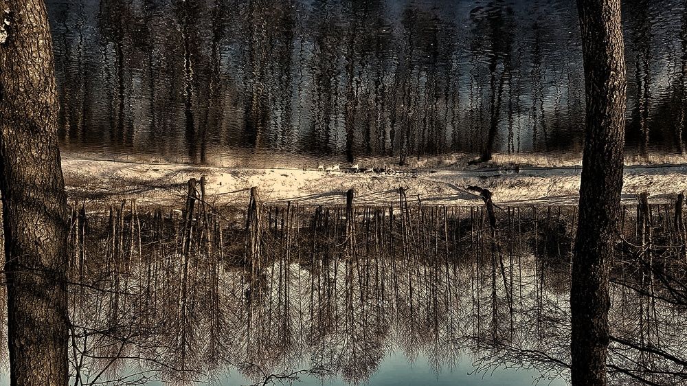 Photograph by Сергей Симаков