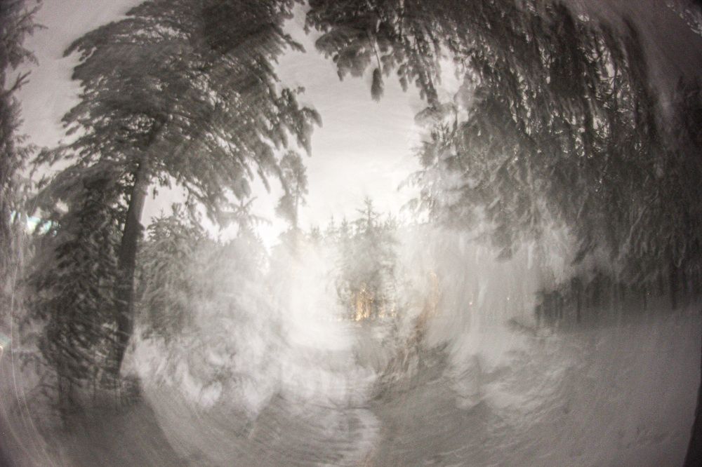 Photograph by Наталия Настепанина