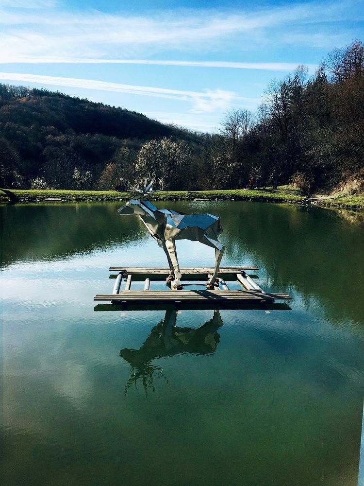 Deer in Ksilifor, Veliko Tărnovo, Bulgaria
