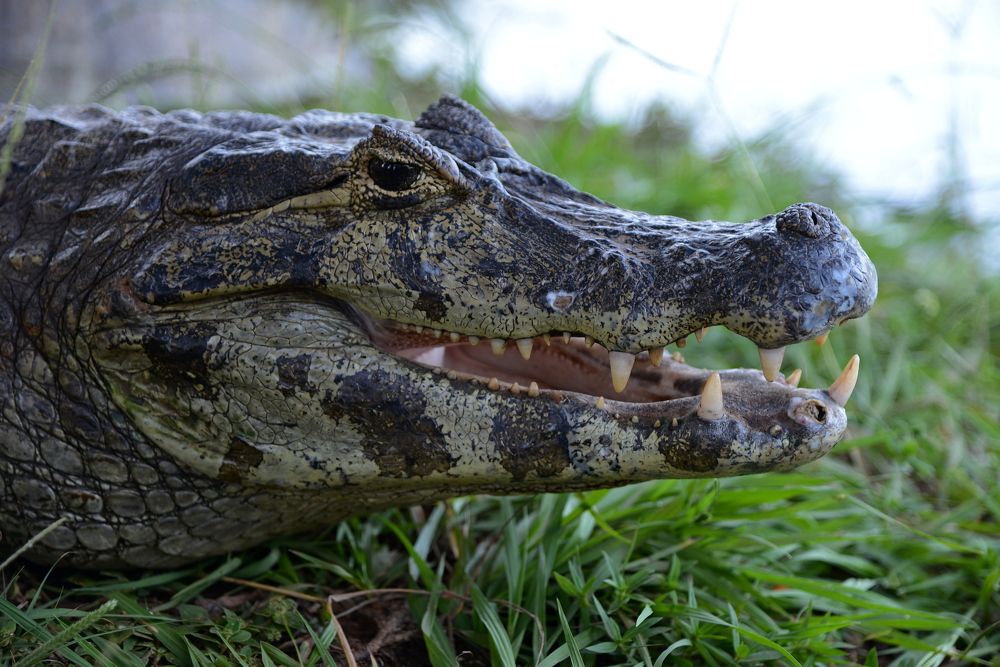 Photograph by Vitaliy