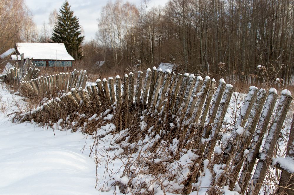 Photograph by Крапивина Татьяна