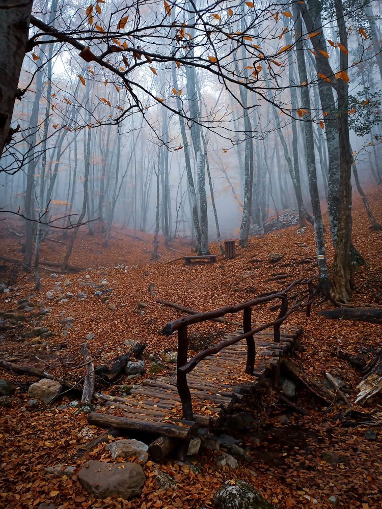 Photograph by Анна Корытина