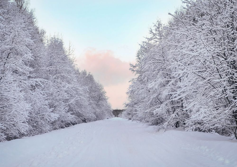 Photograph by Дарья