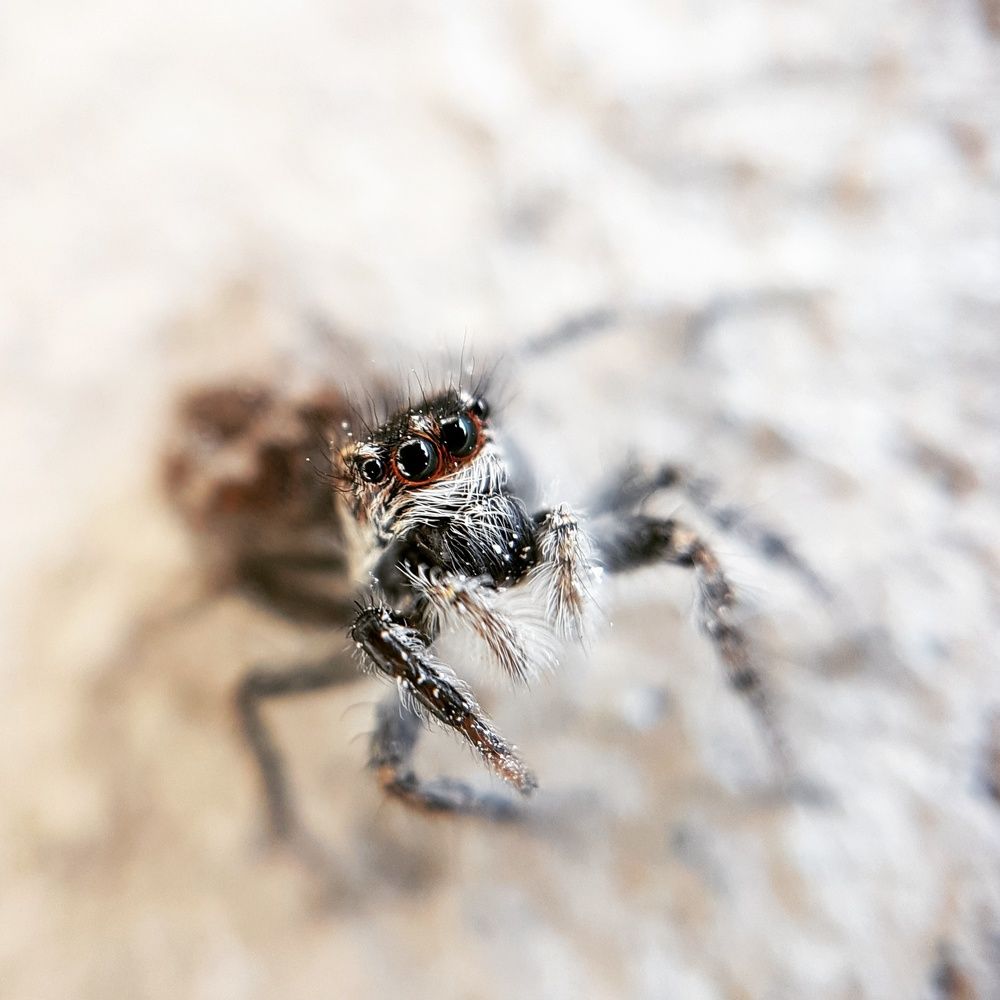 Photograph by Sergey Kim