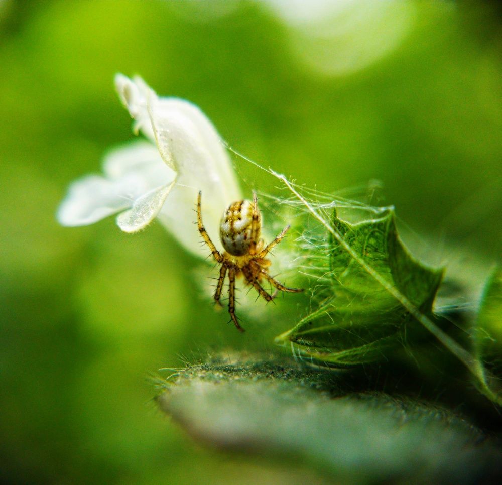 Photograph by Sergey Kim