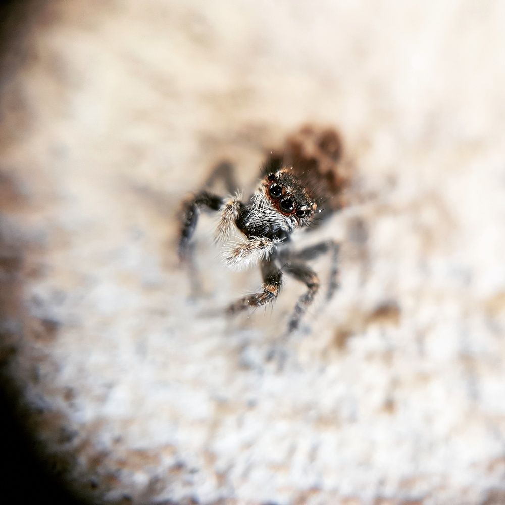 Photograph by Sergey Kim