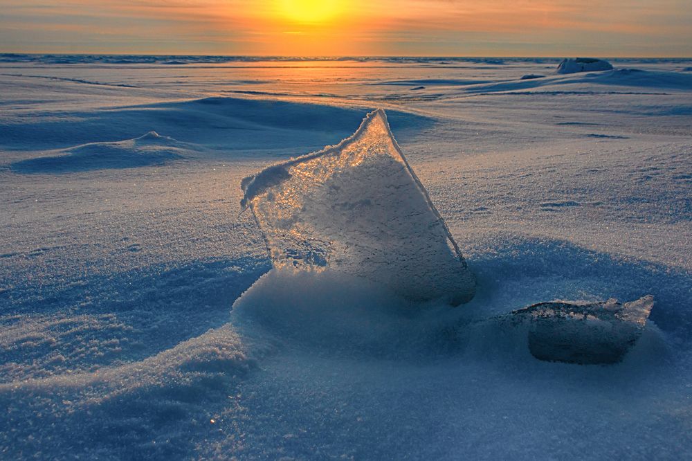 Photograph by Алексей Николаев