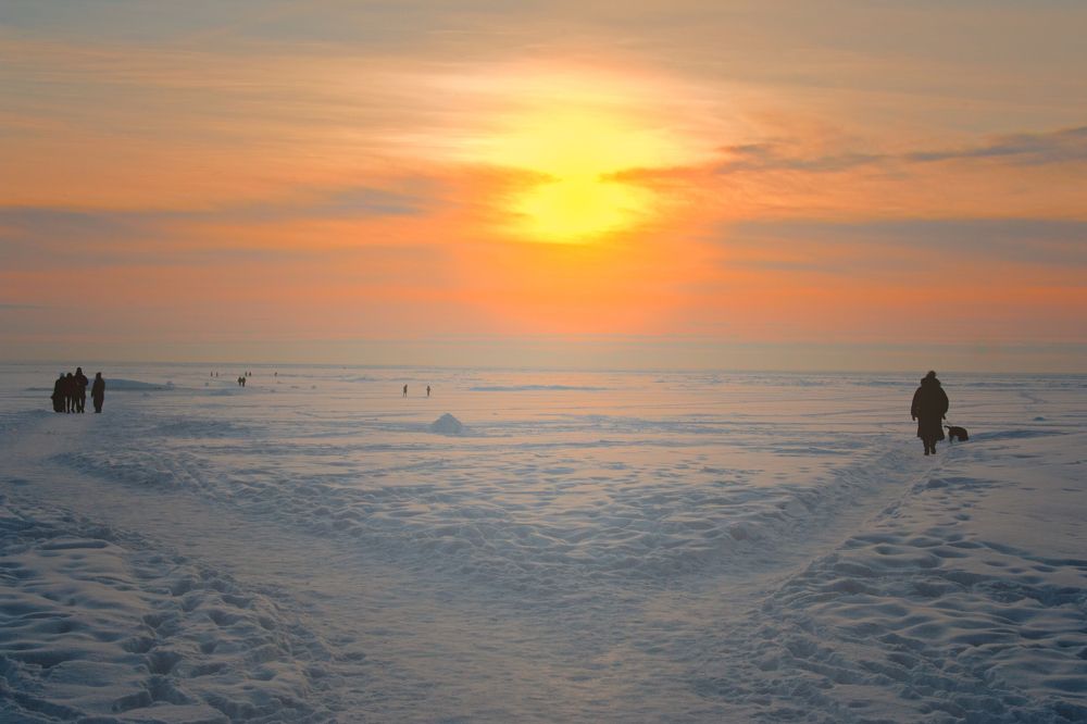 Photograph by Алексей Николаев