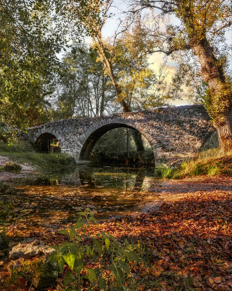 Photograph by Rui Santos