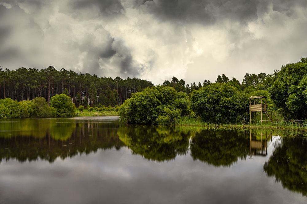 Photograph by Rui Santos