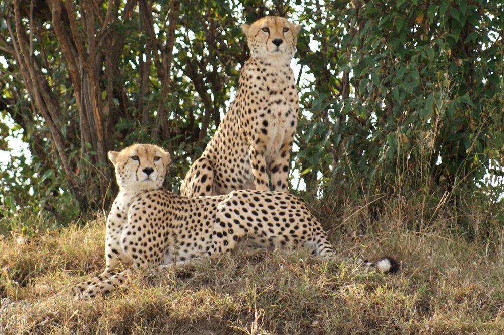 Photograph by Ирина