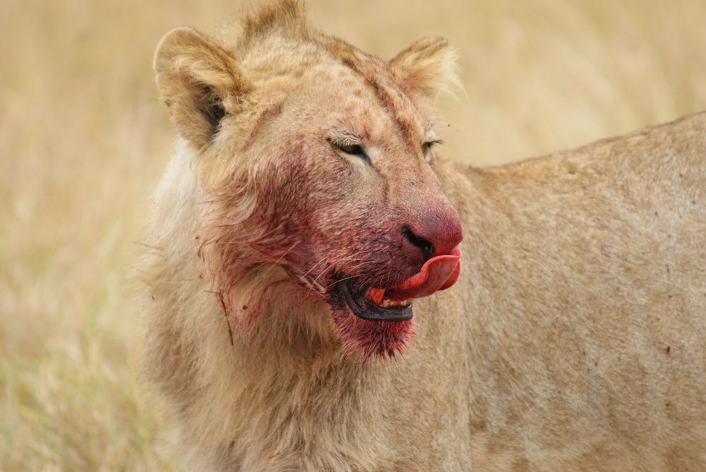 Photograph by Ирина